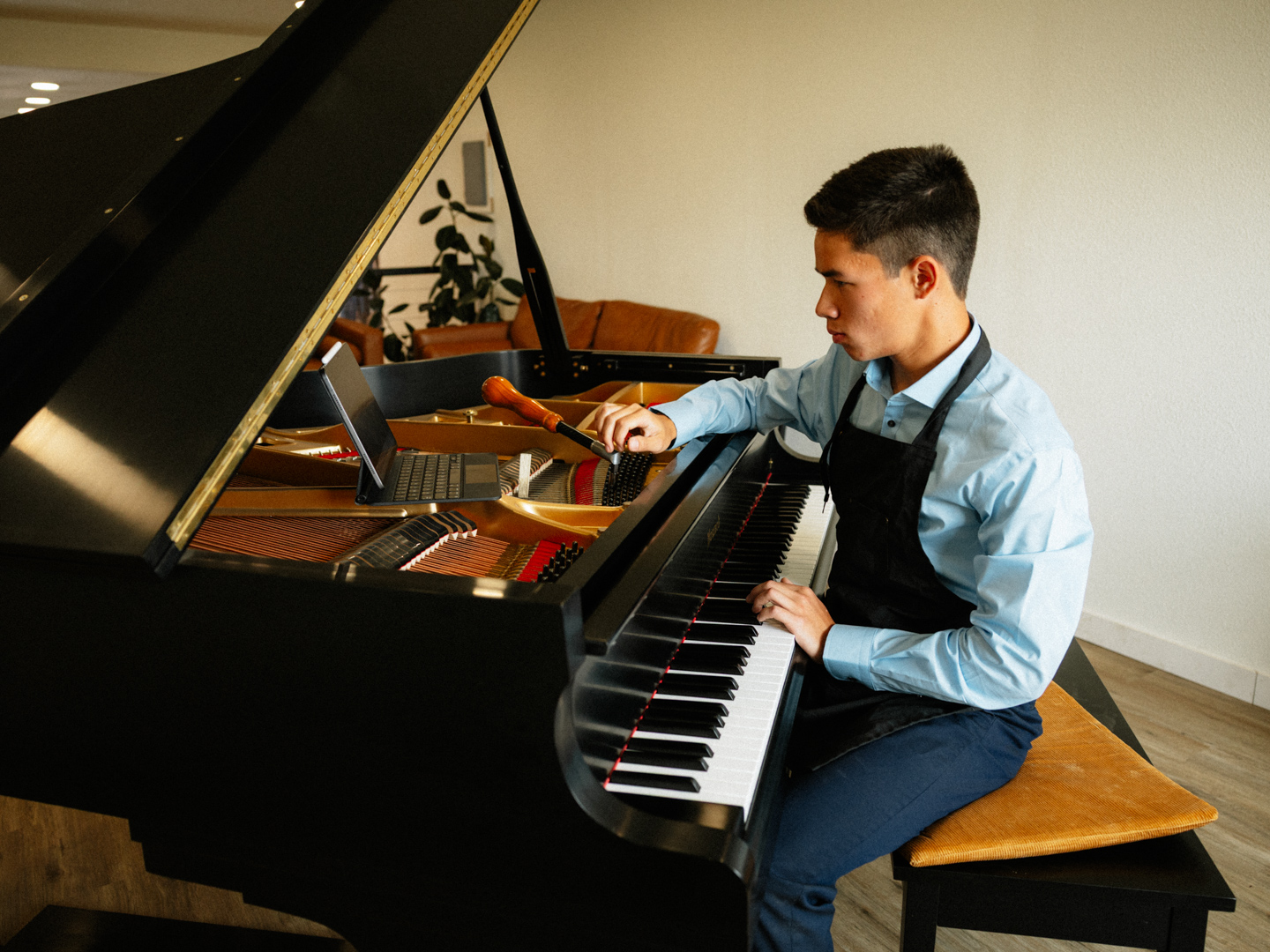 Piano Action Regulation